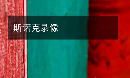 斯諾克錄像